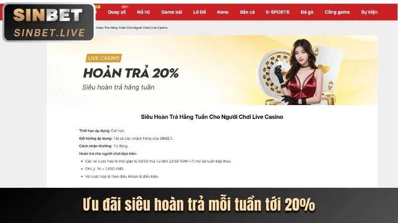 Hoàn trả casino hàng tuần